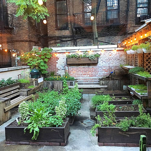 Musket ROOM, NYC - The Garden - Cuisine Inspired